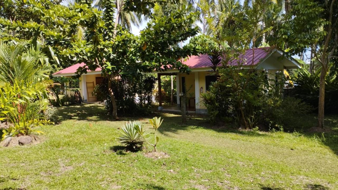 Acacia'S Cottages With Starlink Wifi Mambajao Zewnętrze zdjęcie