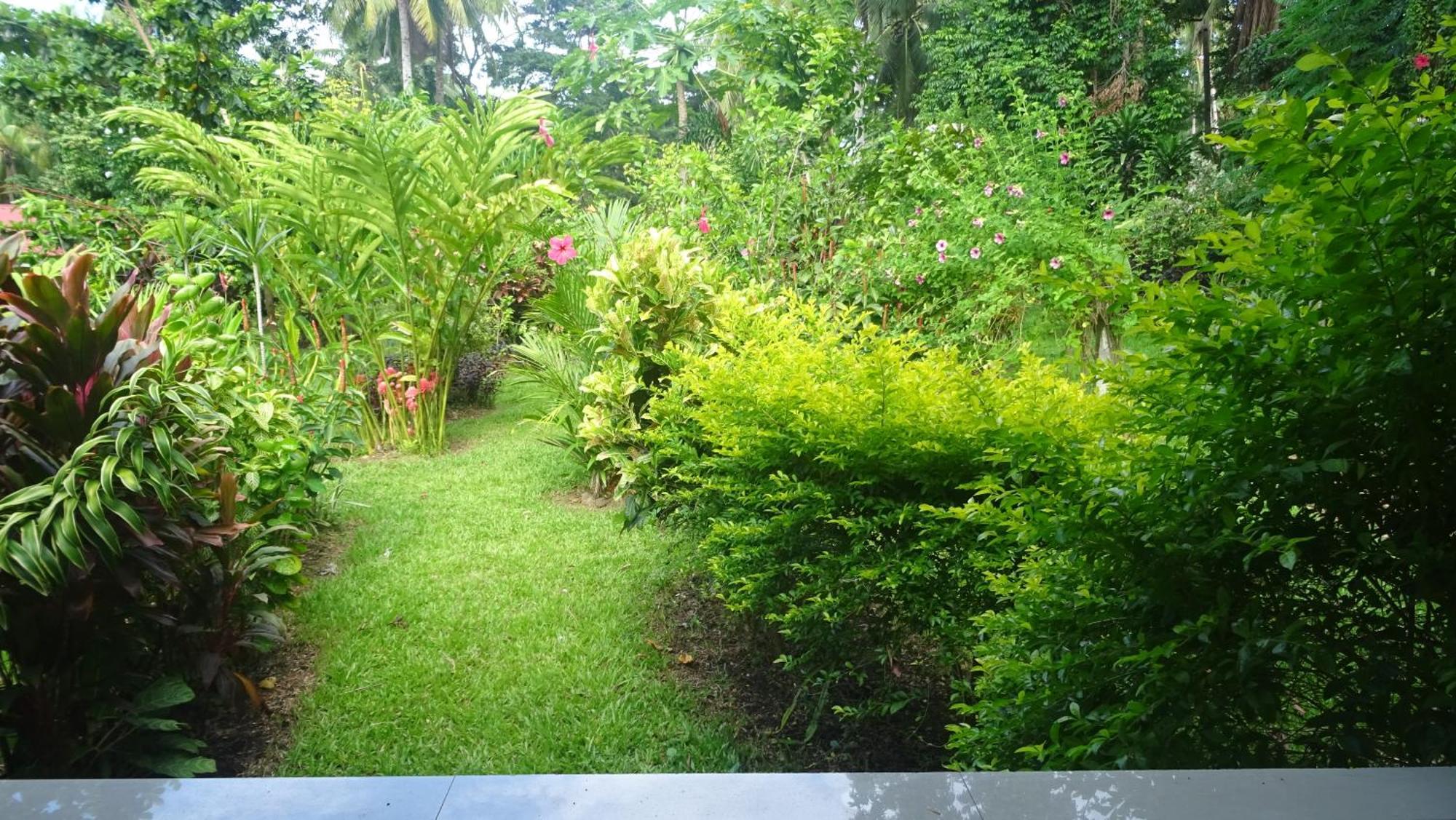 Acacia'S Cottages With Starlink Wifi Mambajao Zewnętrze zdjęcie