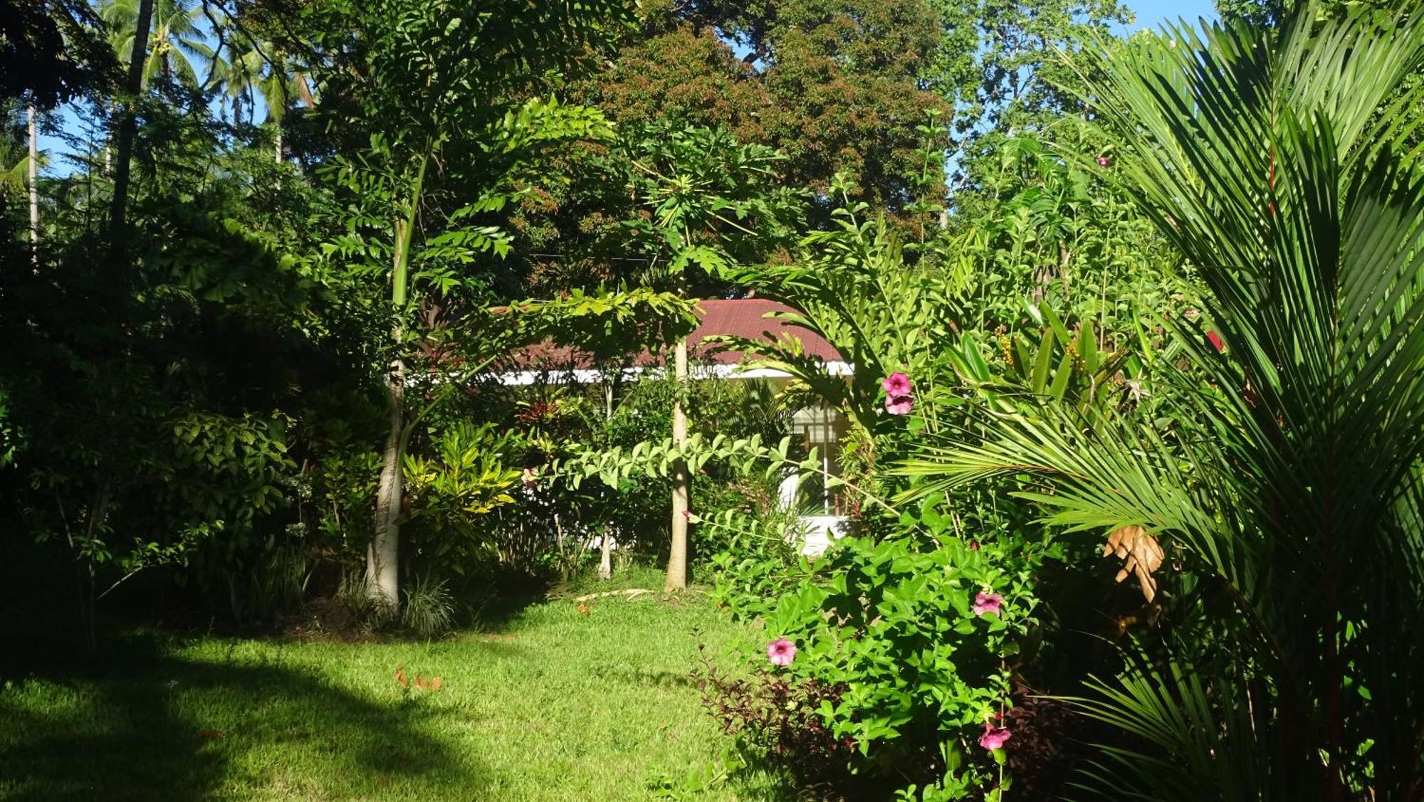 Acacia'S Cottages With Starlink Wifi Mambajao Zewnętrze zdjęcie